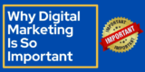 Why Digital Marketing is So Important? (Complete Overview 2024)